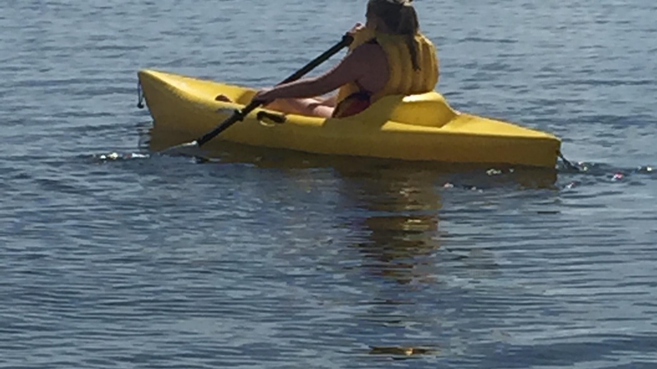 Photo of Others in Belfast