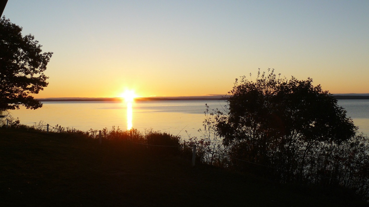 Photo of Others in Belfast