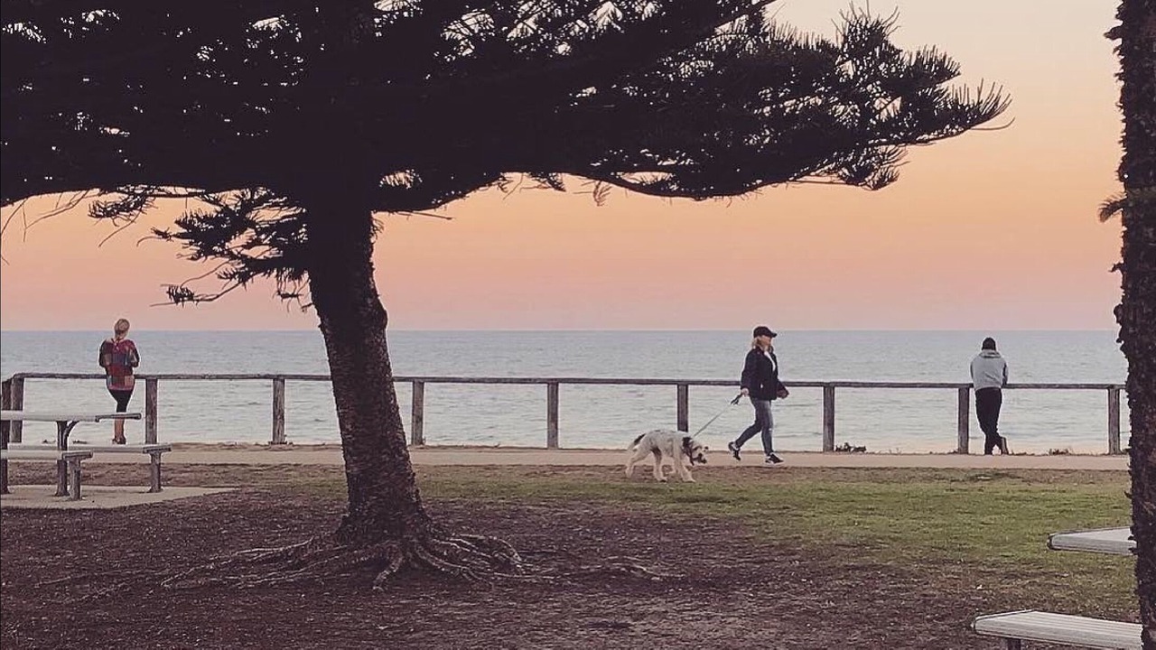 Photo of Others in Curl Curl