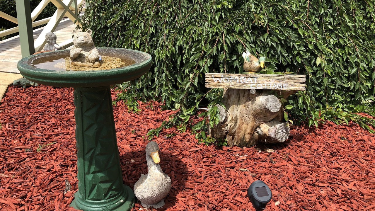 Photo of Outdoor in Gembrook