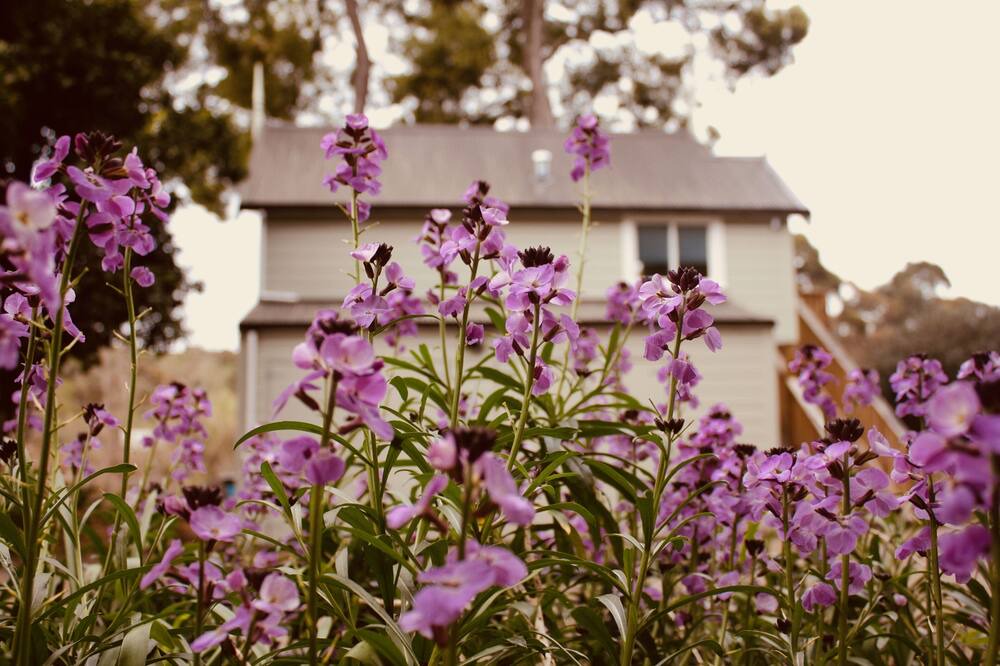 Photo of Others in Whanganui