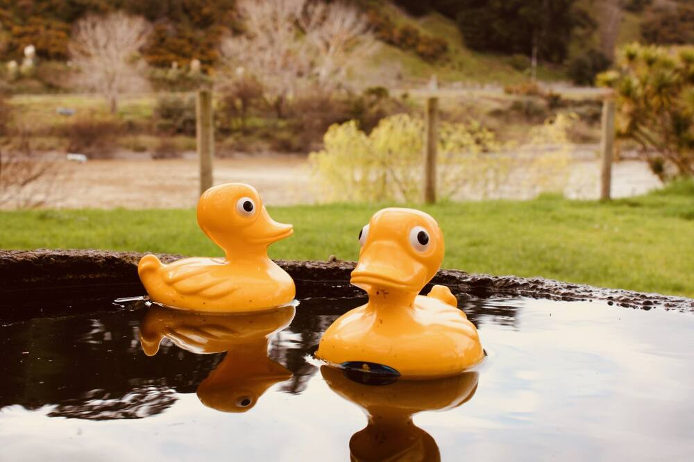 Photo of Others in Whanganui