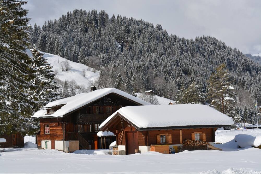 Photo of Outdoor in Ormont-Dessus