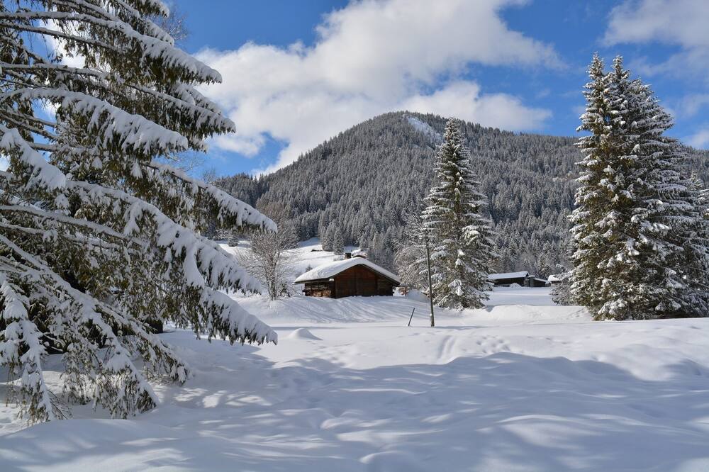 Photo of Outdoor in Ormont-Dessus