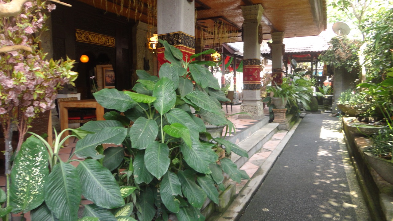 Photo of Outdoor in Ubud City-Centre
