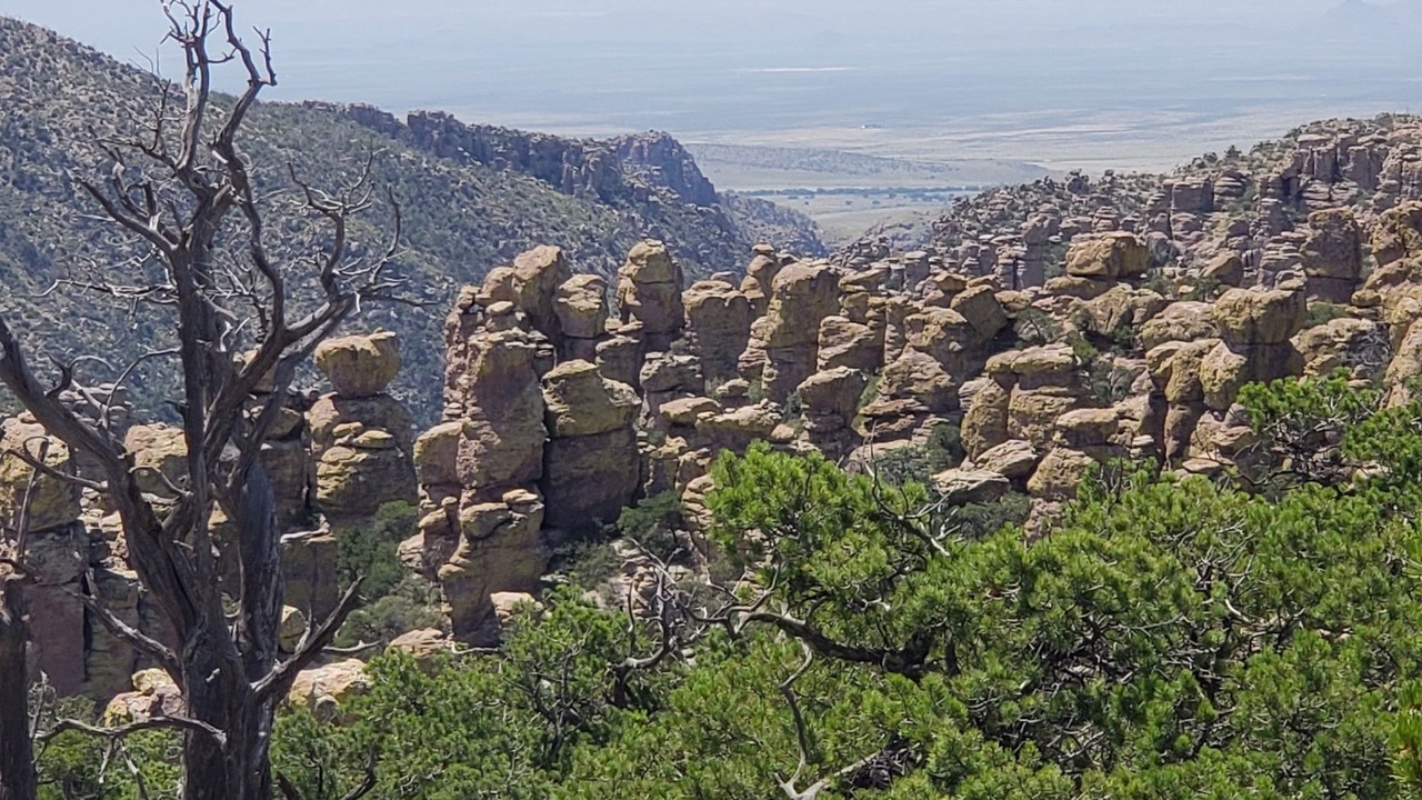 Photo of Others in Willcox