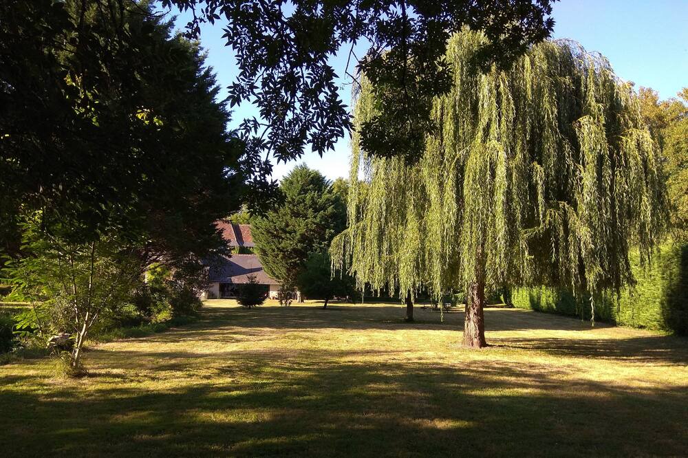 Photo of Outdoor in Vernou-sur-Brenne