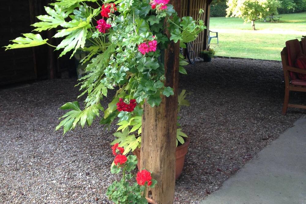 Photo of Outdoor in Vernou-sur-Brenne