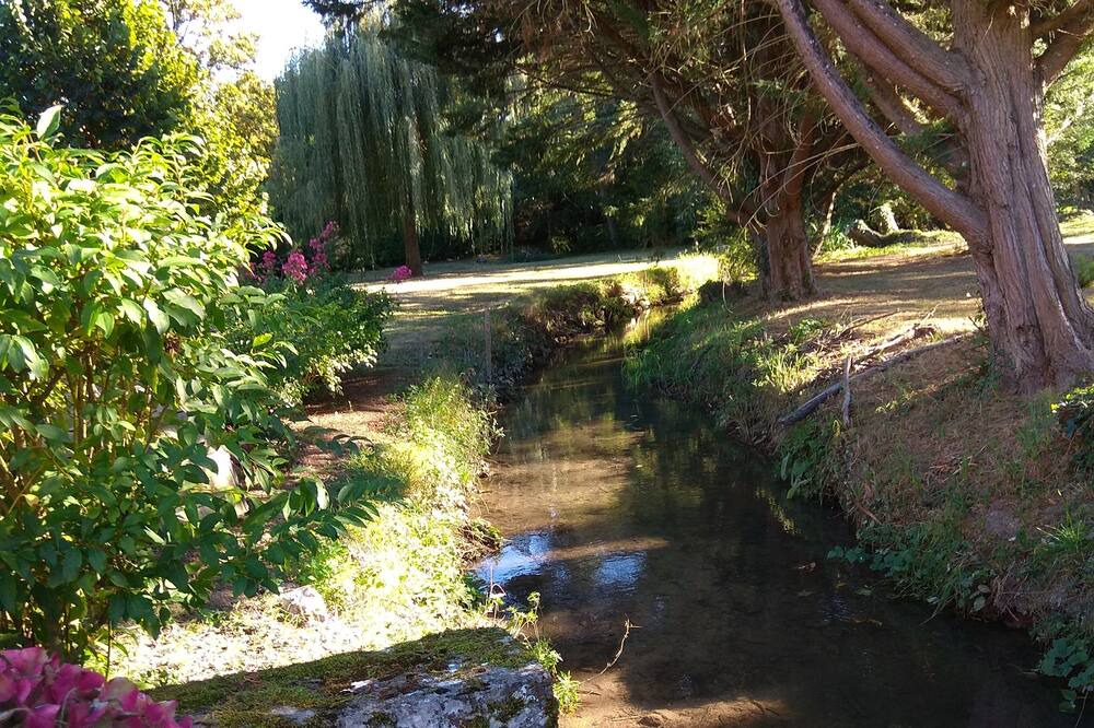 Photo of Outdoor in Vernou-sur-Brenne