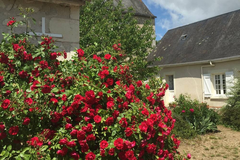 Photo of Outdoor in Mansigne