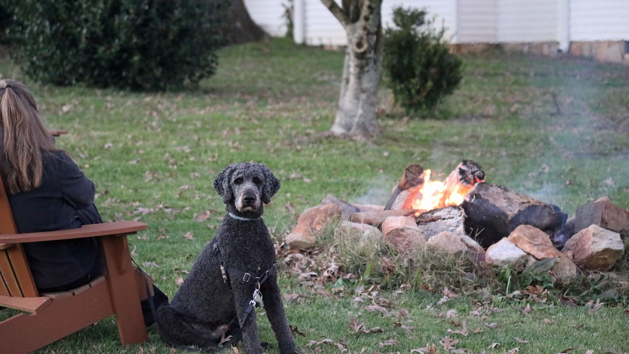 Photo of Outdoor in Alton