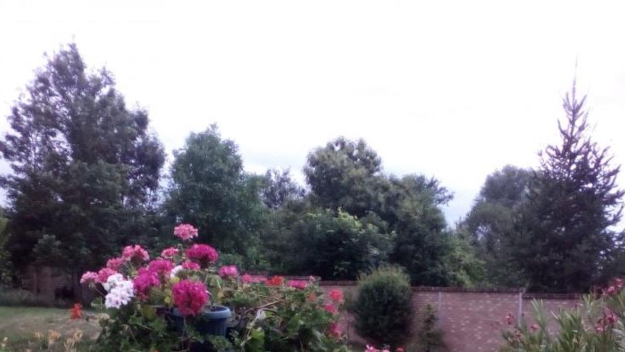 Photo of Outdoor in Origny-en-Thierache