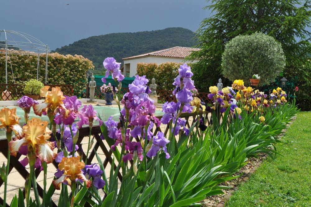 Photo of Outdoor in Saint-Hippolyte-du-Fort