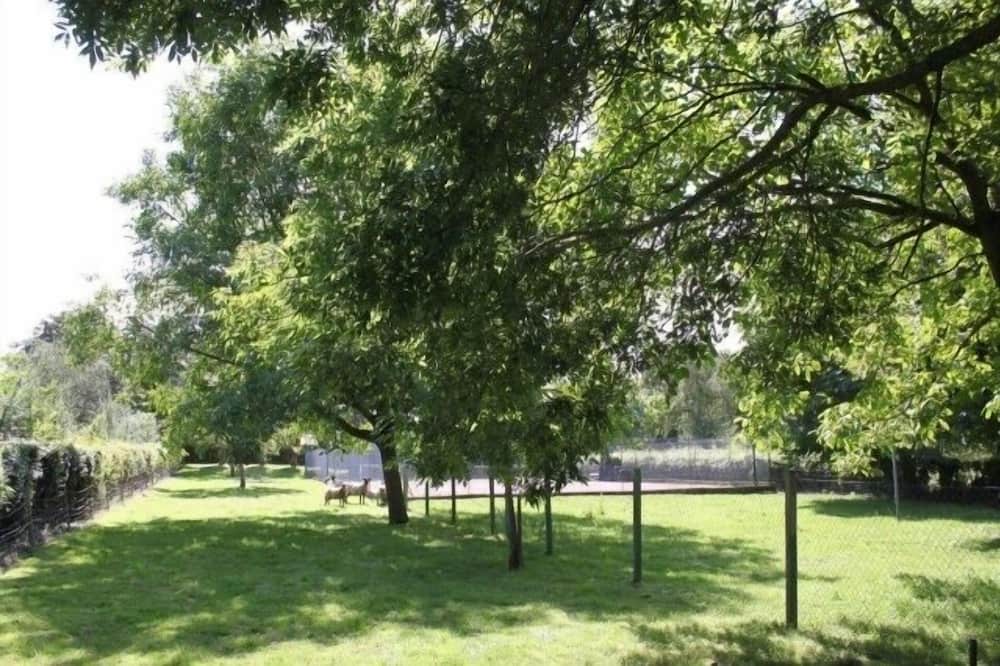 Photo of Outdoor in Noyelles-sur-Mer