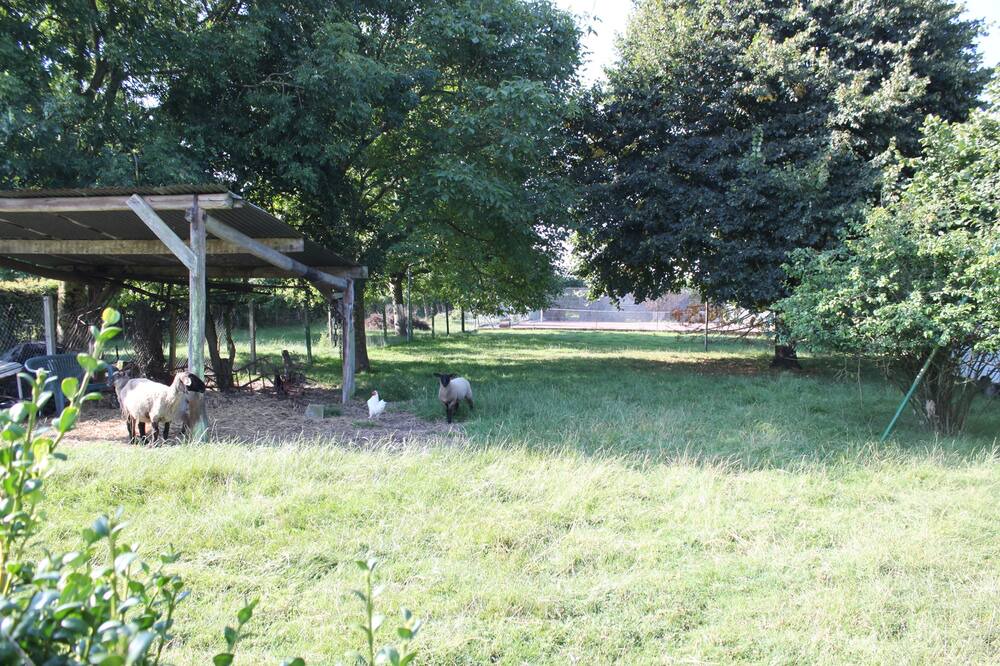 Photo of Outdoor in Noyelles-sur-Mer