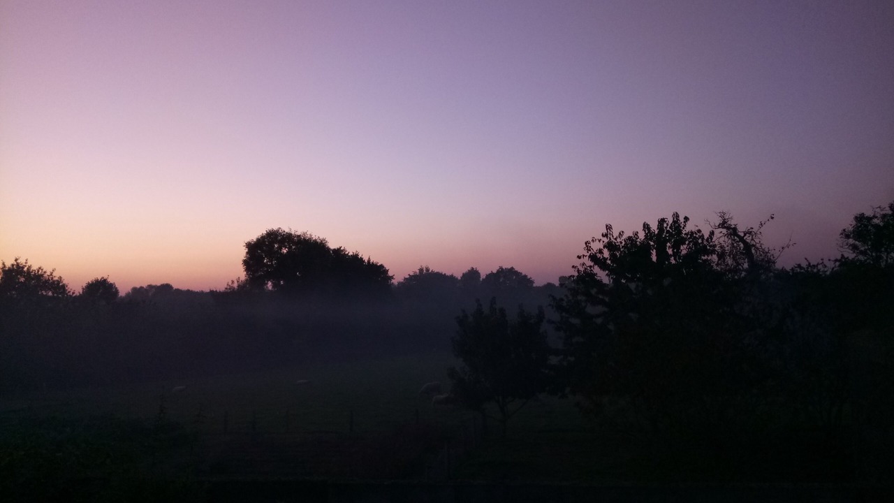 Photo of Outdoor in Beaupreau-en-Mauges