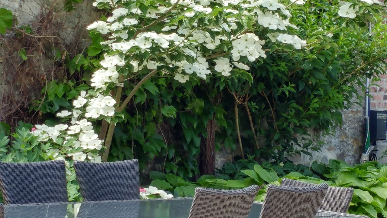 Photo of Outdoor in Droue-sur-Drouette