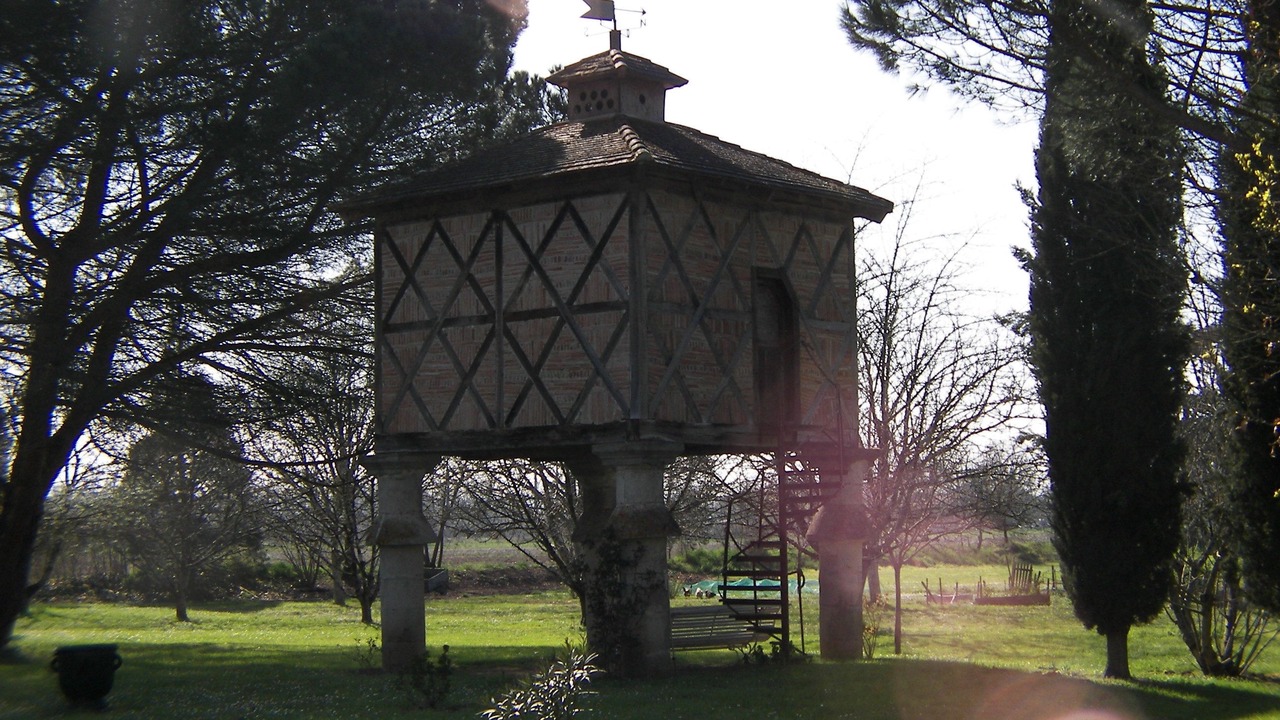 Photo of Outdoor in Saint-Jean-de-Thurac