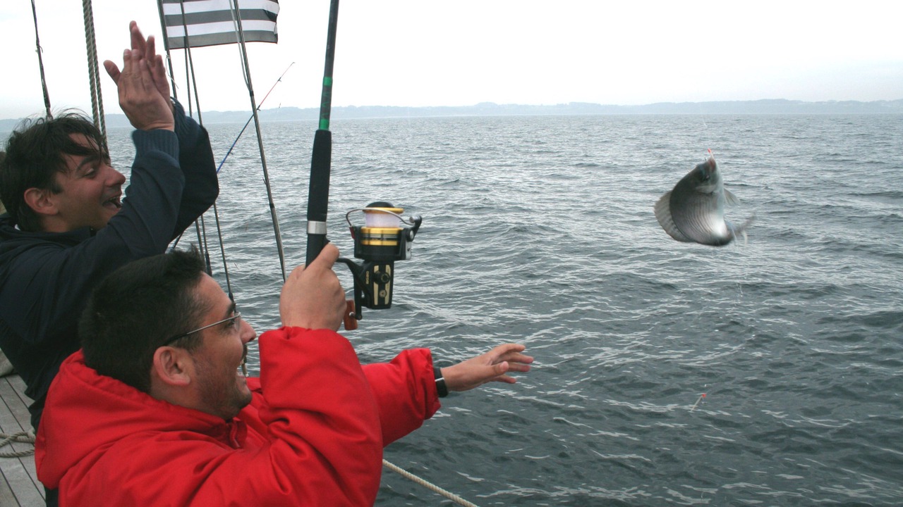 Photo of Others in Sauzon