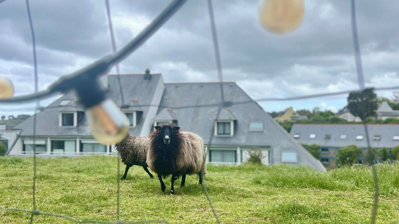 Photo of Outdoor in Sauzon