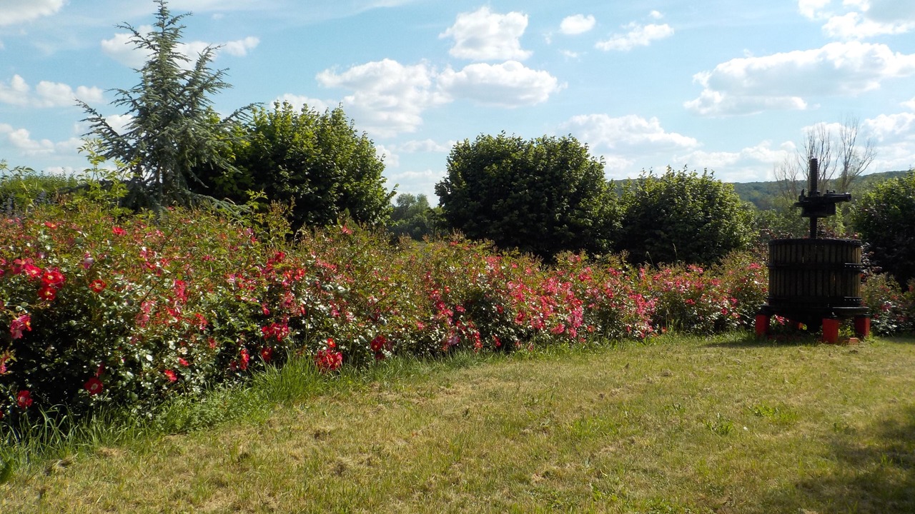 Photo of Outdoor in Meurville