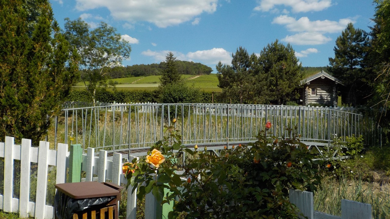 Photo of Outdoor in Meurville