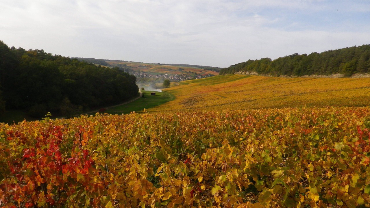 Photo of Outdoor in Meurville