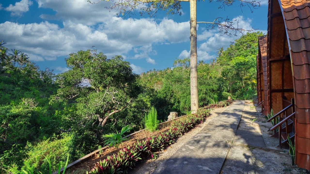 Photo of Outdoor in Penida Island