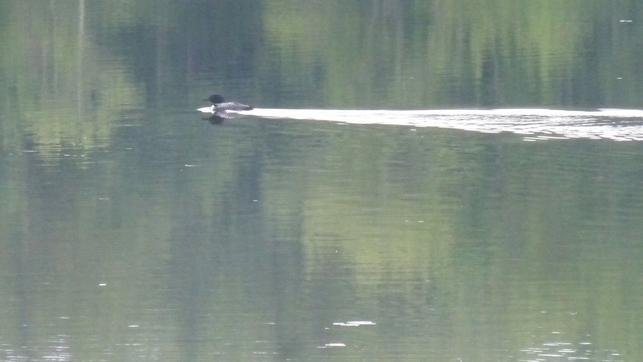 Photo of Outdoor in Barrington