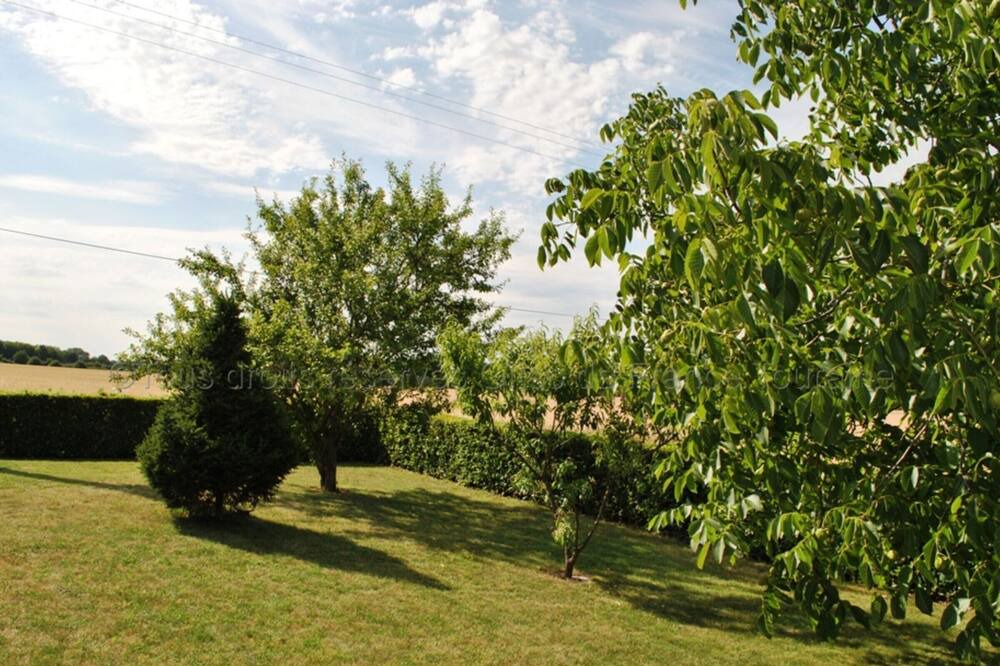 Photo of Outdoor in Cheille