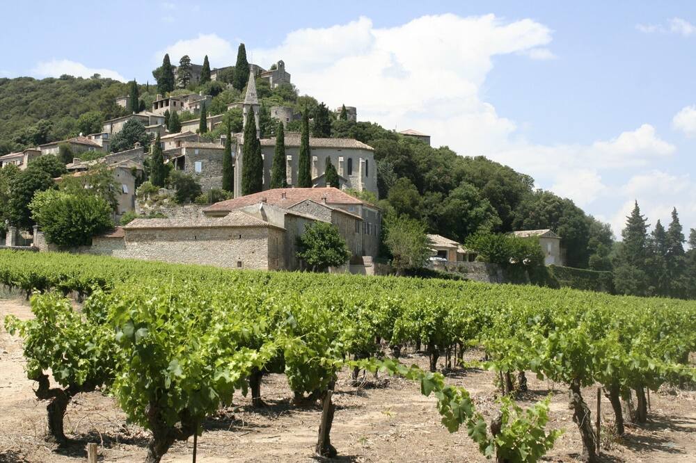 Photo of Outdoor in Saint-Hippolyte-de-Montaigu
