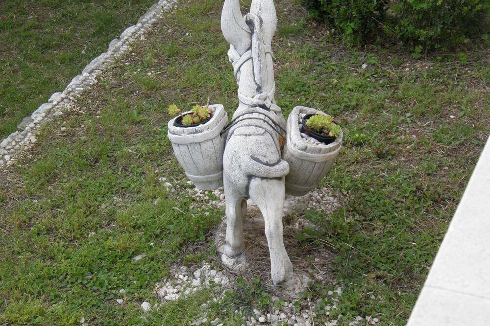 Photo of Outdoor in Brela