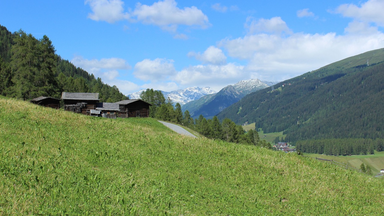 Photo of Others in Davos