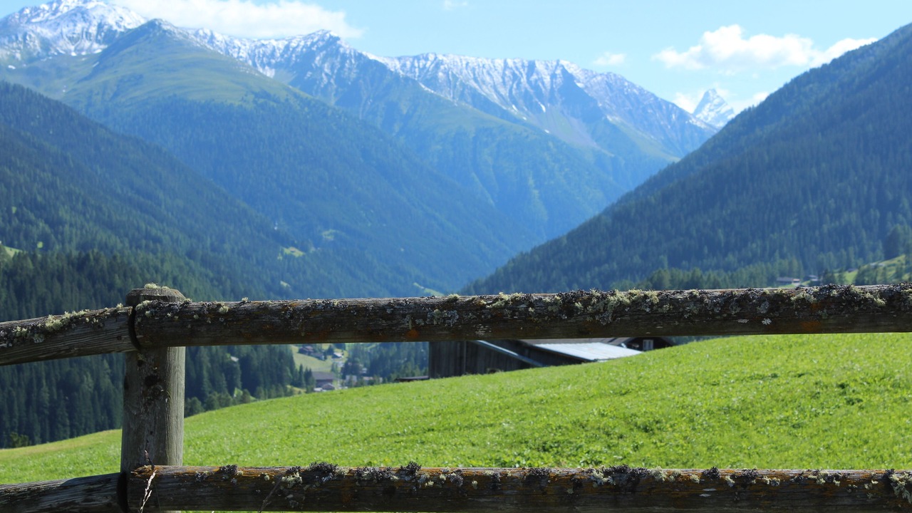 Photo of Others in Davos