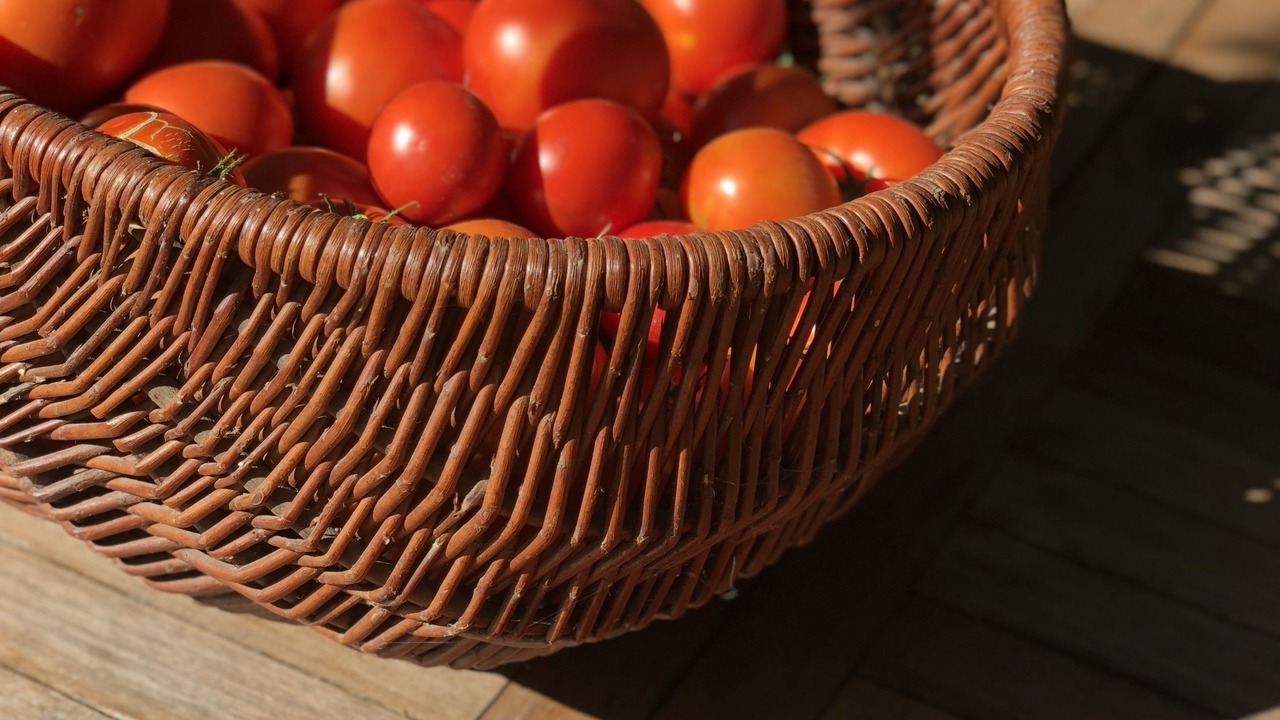 Photo of Others in Vezelay