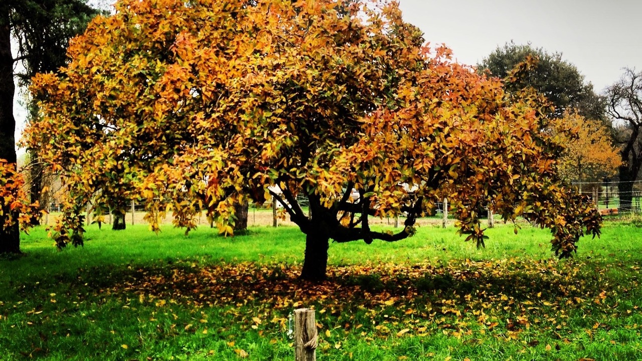 Photo of Outdoor in Vezelay