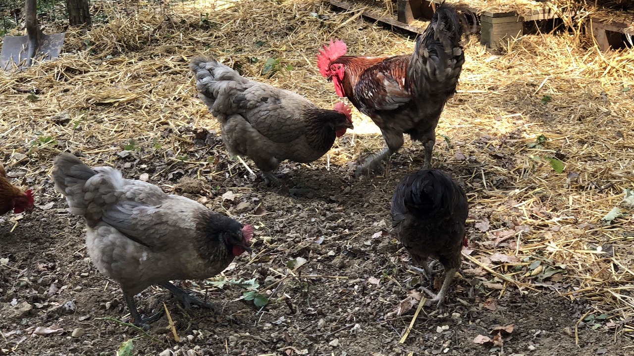 Photo of Outdoor in Vezelay