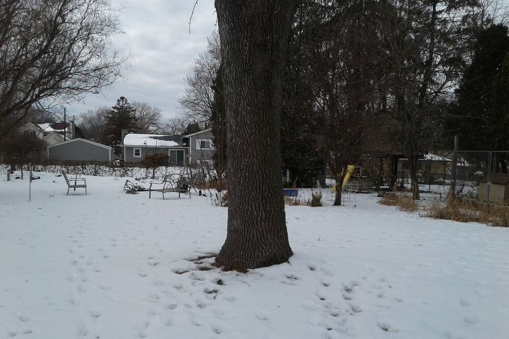 Photo of Others in East Bloomington