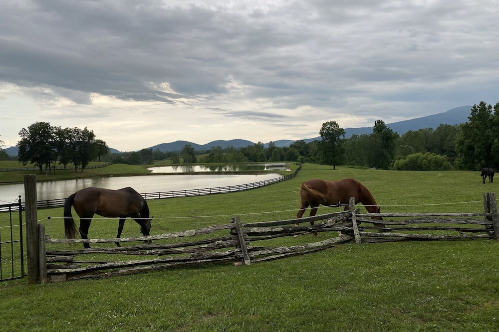 Photo of Outdoor in Flint Hill