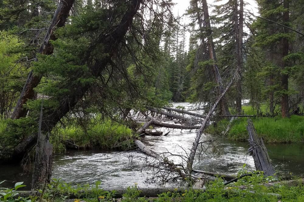 Photo of Others in Cooke City-Silver Gate