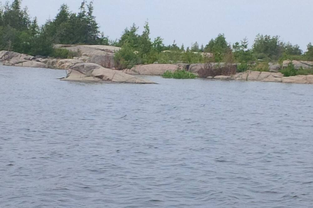 Photo of Others in Byng Inlet