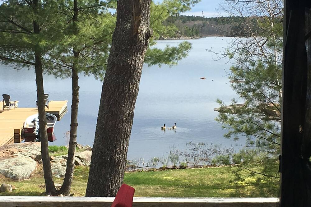 Photo of Others in Byng Inlet