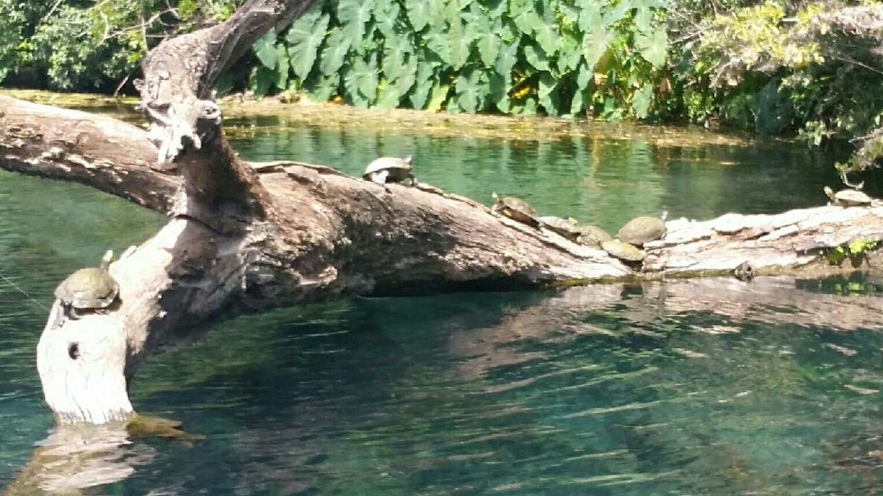 Photo of Outdoor in San Marcos