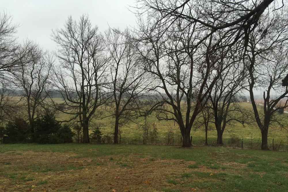 Photo of Outdoor in Rich Hill