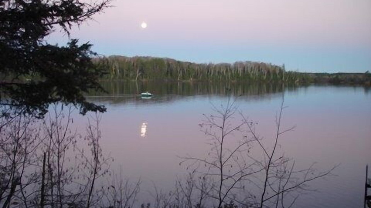 Photo of Others in Land O Lakes