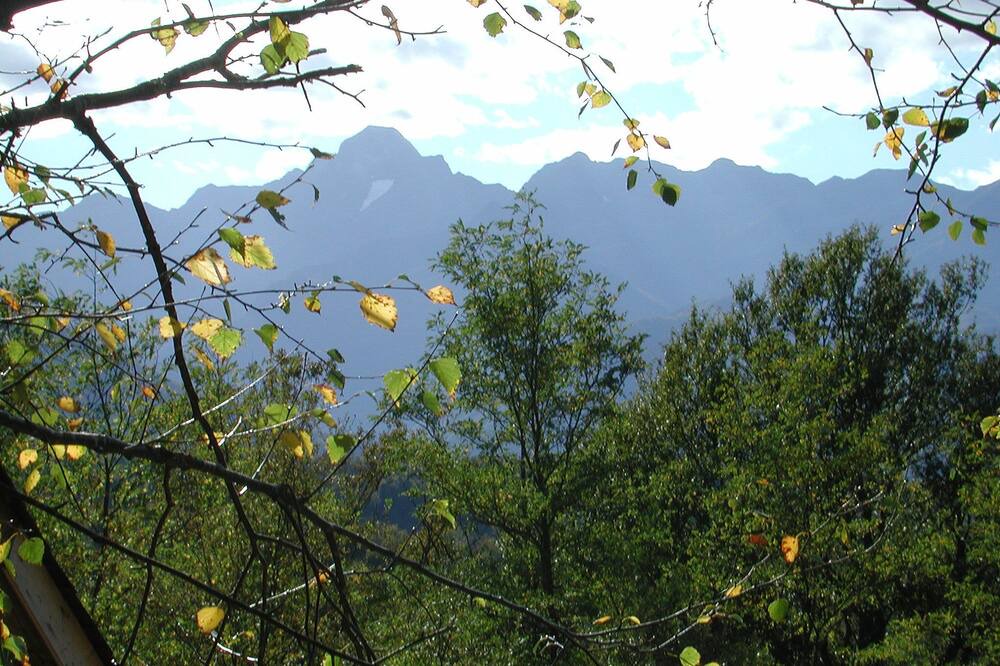 Photo of Outdoor in Aleu