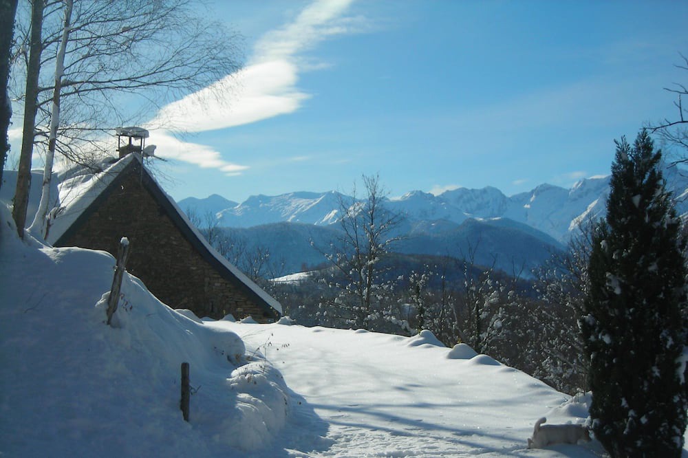Photo of Others in Aleu