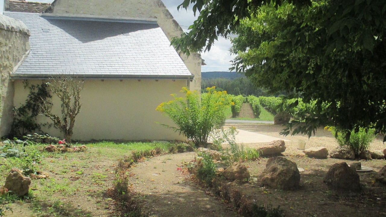 Photo of Outdoor in Ingrandes-de-Touraine