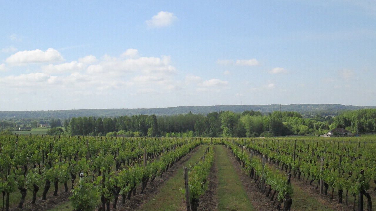 Photo of Outdoor in Ingrandes-de-Touraine