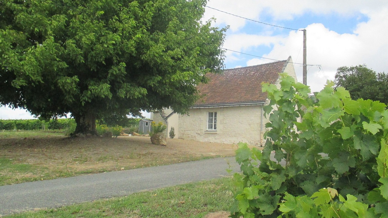 Photo of Outdoor in Ingrandes-de-Touraine